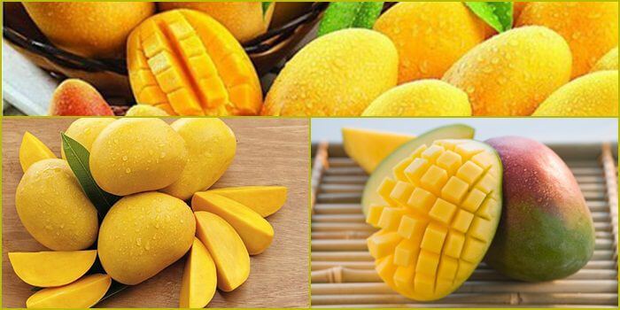 Bài đánh giá về một trò chơi thẻ bài cấp độ Bwing, giới thiệu nhiều sản phẩm xuất sắc - Bwing