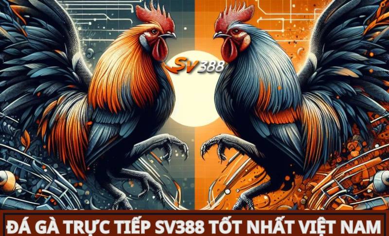 Rút tiền về mức Bwing - Bwing